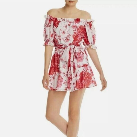 Keepsake The Label Ruffle Rose Mini Dress - Picture 1 of 13